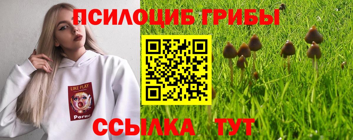 Галлюциногенные грибы ЛСД  Галлюциногенные грибы Cubensis  Вичуга  Вход с VPN 