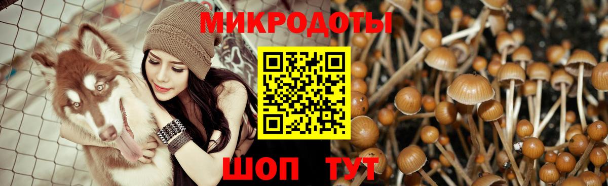 Псилоцибиновые грибы Psilocybine cubensis Вичуга